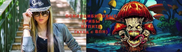 сатива Балабаново