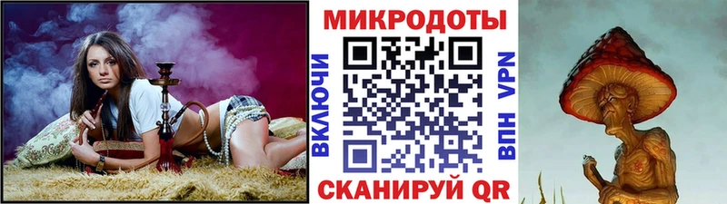 мега   Удомля  Псилоцибиновые грибы GOLDEN TEACHER 